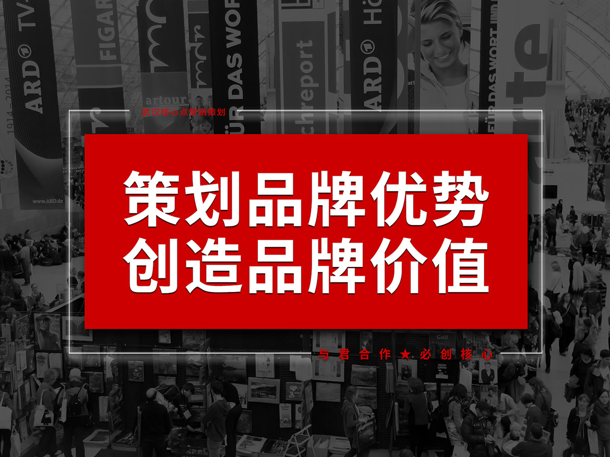 武汉品牌优势策划设计，商业模式策划