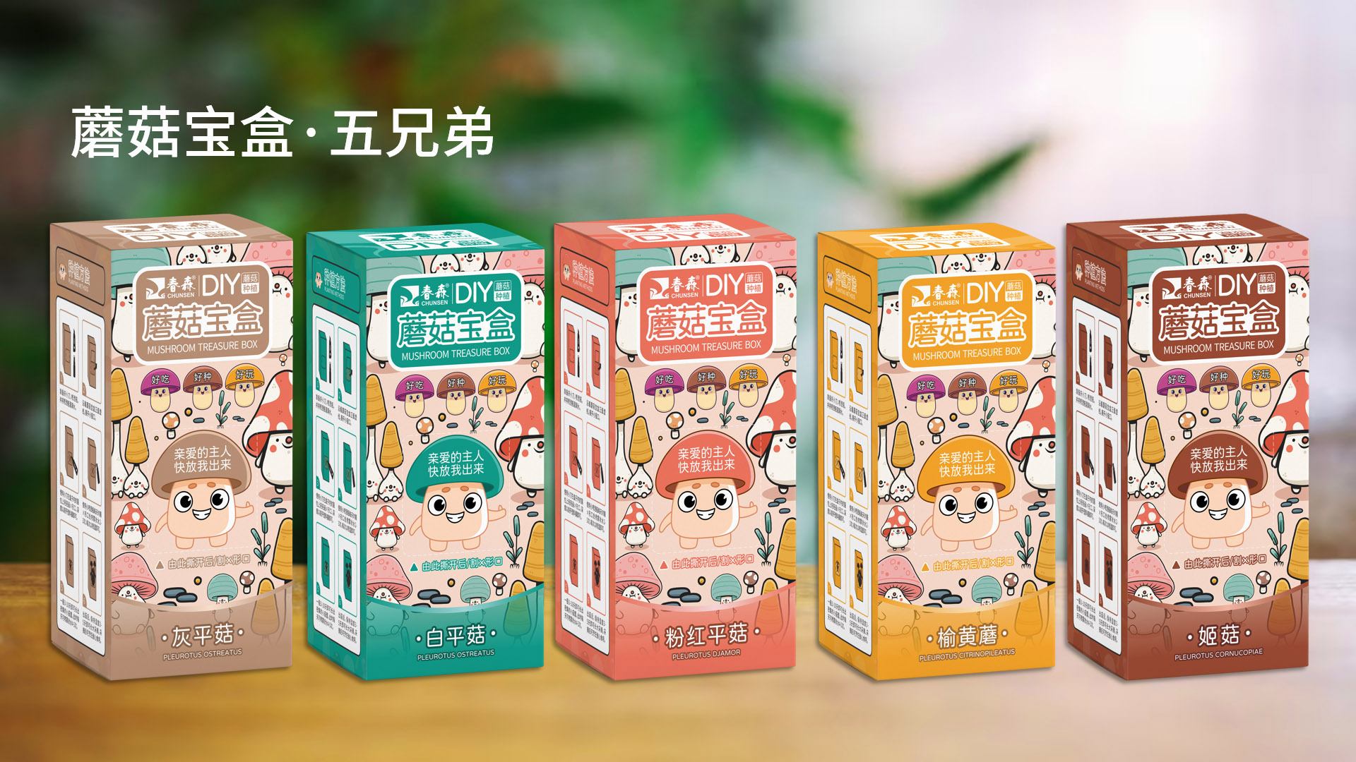 武汉专业包装设计