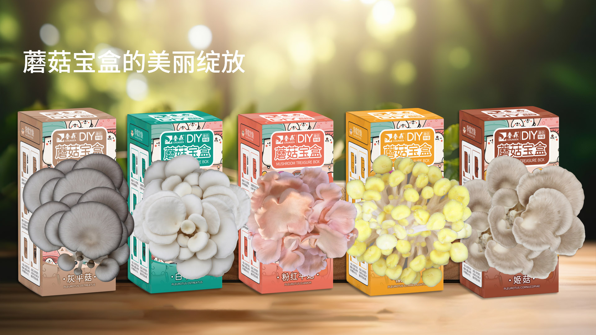 武汉专业包装设计