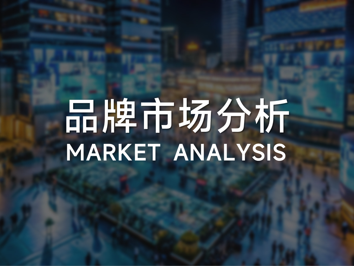 品牌目标市场研究分析