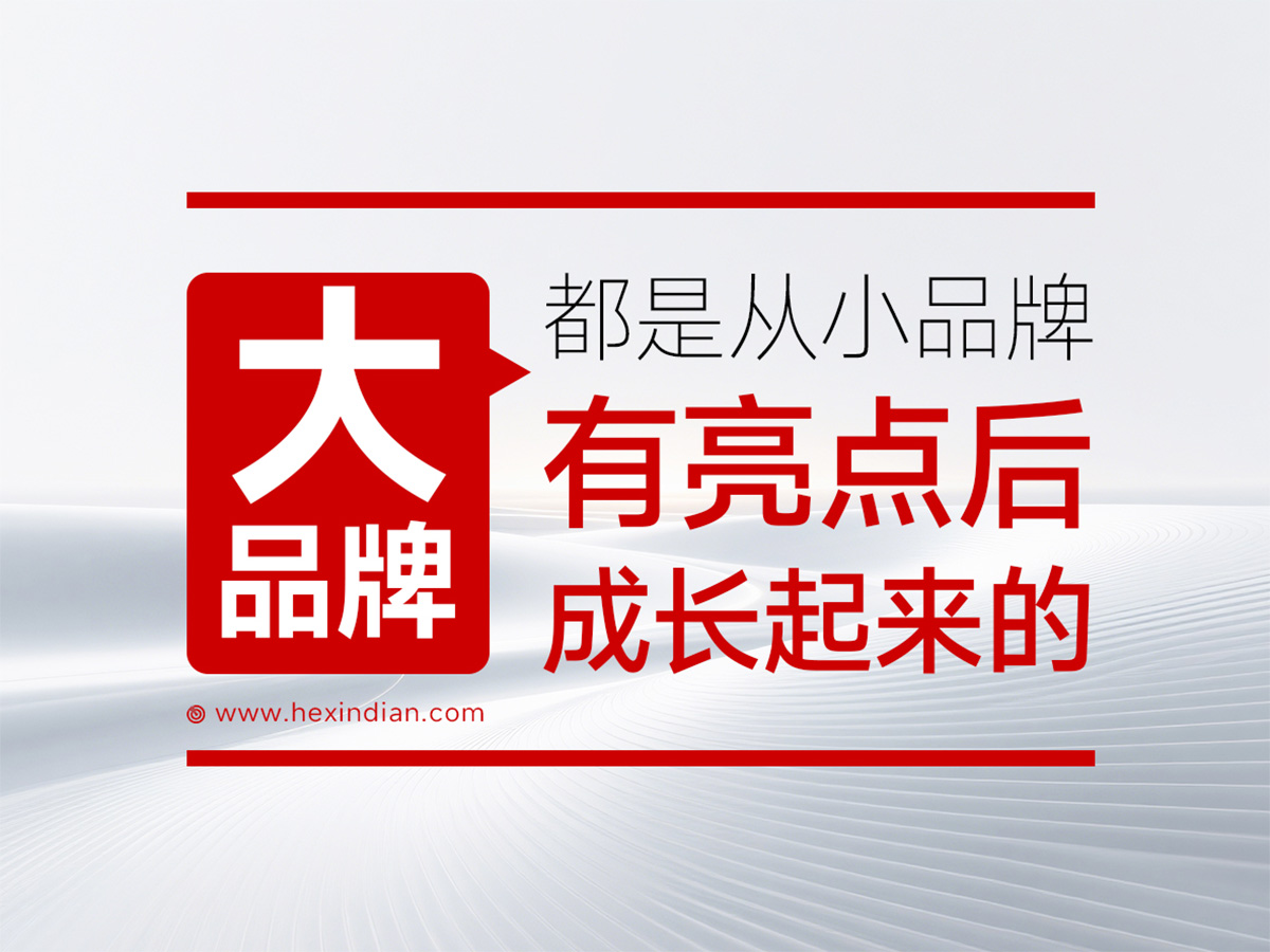 大品牌都是从小品牌有亮点后成长起来的！