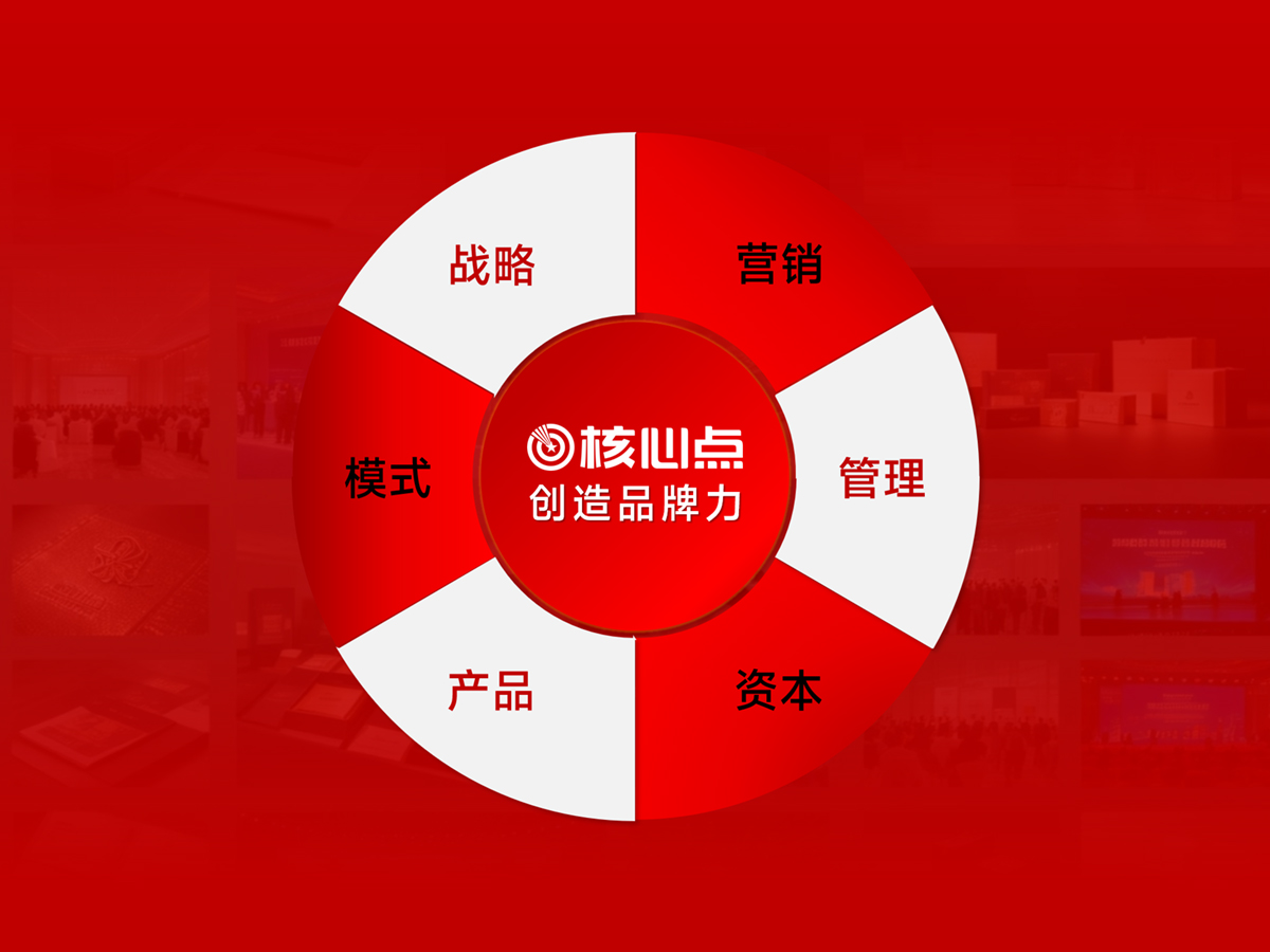 战略、模式、品牌、产品、营销、管理、资本,谁最重要!